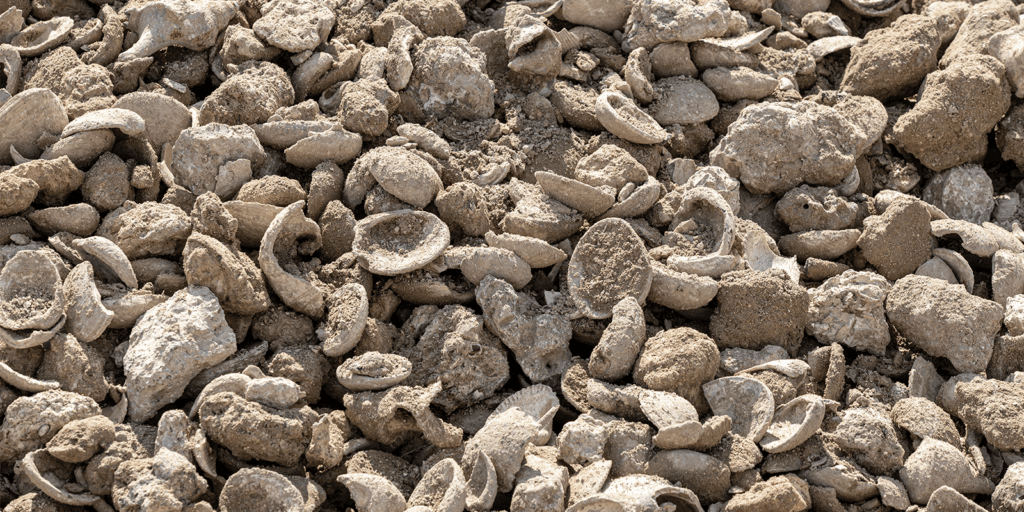 Florida shell aggregate