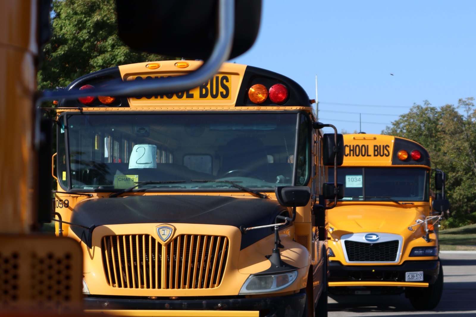Two yellow school buses parked side by side on a bright morning